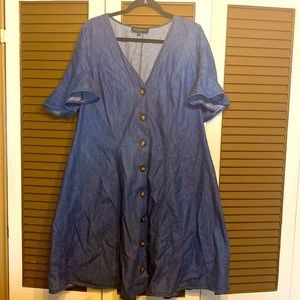 Blue Denim Eloquii Dress